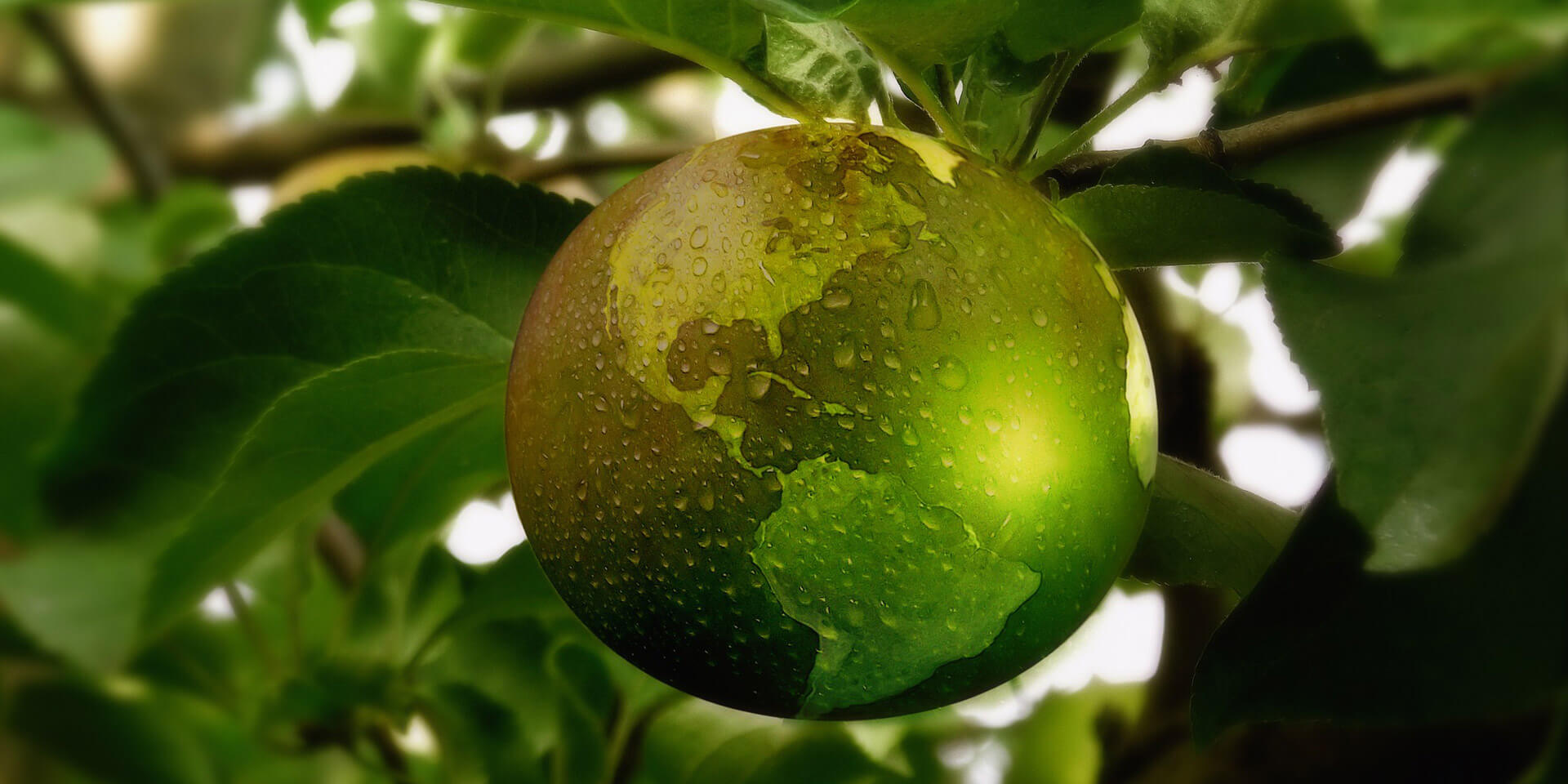 Apfel im Baum als Weltkugel